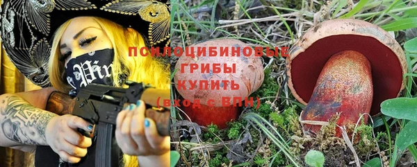 гидра Горно-Алтайск