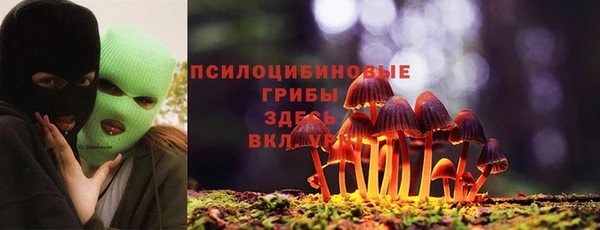 гашиш Горнозаводск