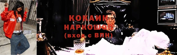 гидра Горно-Алтайск