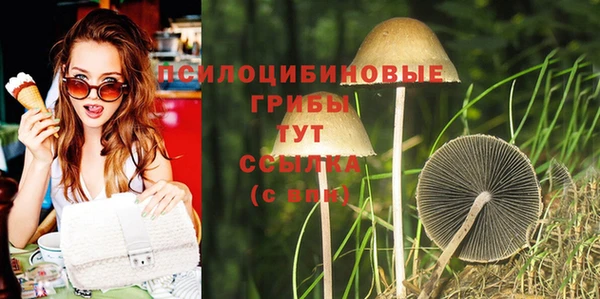 гашиш Горнозаводск