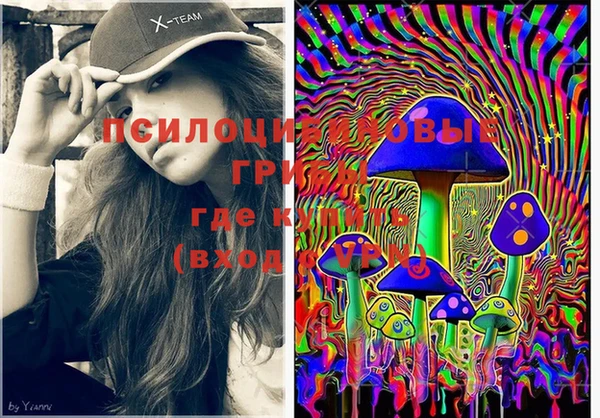 MESCALINE Горняк