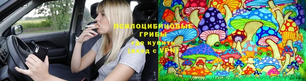 MESCALINE Горняк