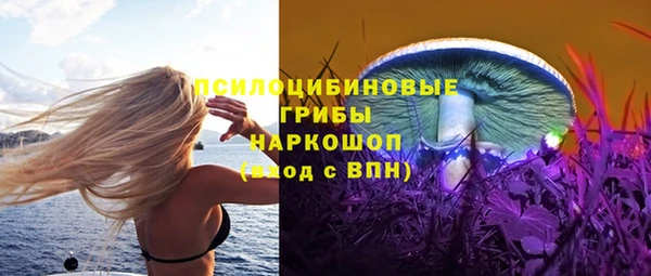 гидра Горно-Алтайск