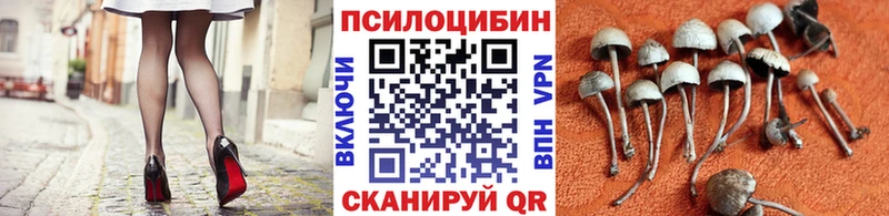 Галлюциногенные грибы GOLDEN TEACHER  Купить  Баймак 